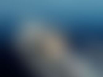 As for exterior spaces, guests will have plenty of room to just lounge around and do nothing or enjo