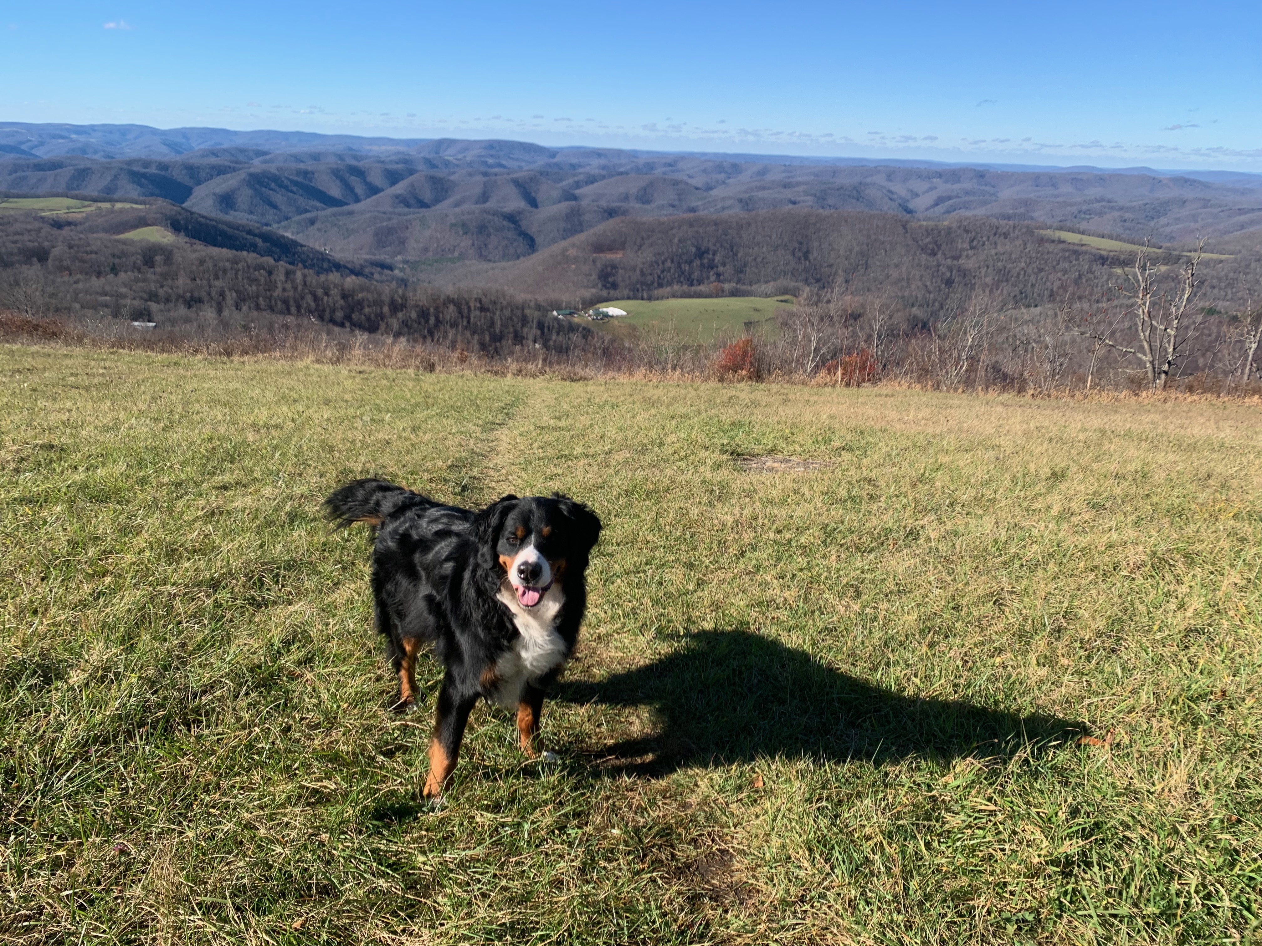 IMG_9006 (1).jpeg
