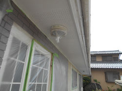 DSCN1010