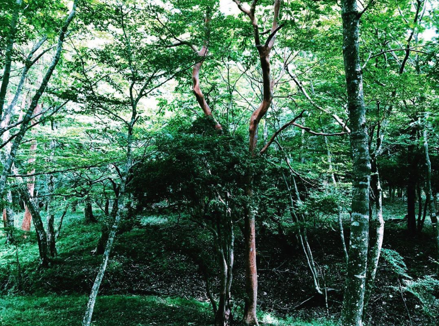 真面目と不真面目のあいだ