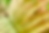 Background banner 2.png
