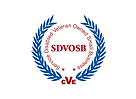SDVOSB pic.png