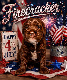 436F386E-3284-42C9-843B-A5904C6F54B6.png