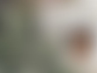 한인 할머니 성폭행 피의자는 노숙자..'중범죄자' 