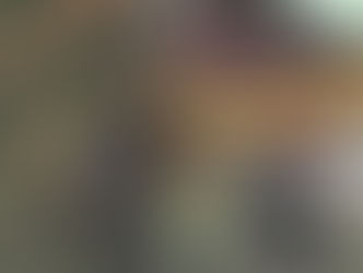 올랜도 유니버셜 롤러코스터서 남성 사망