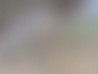 나무가 차에 떨어져..다친 사람은 없어 