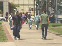 올해 가을학기 등록 미국 유학생 20% 감소