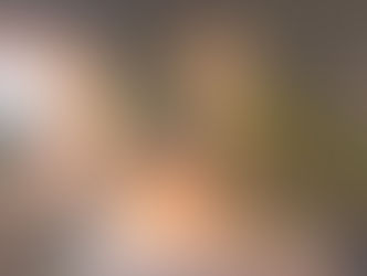 한인 부부 저택에 복면 강도.."20년 산 집인데..벌벌 떨었다"