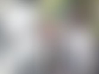 캘리포니아 유권자 신분증 발의안, 11월 투표 상정 예정