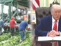 트럼프 대통령 “농장 · 호텔 노동자 위한 ‘임시 허가’ 검토” 