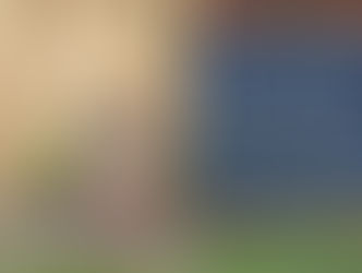 “ICE 단속에 국세청 정보 공유 협정 마무리 단계”