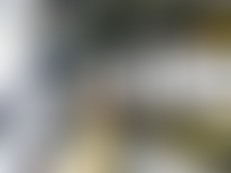 From Outdated to Upgraded: How Electrical Panel Upgrades Can Boost Property Value