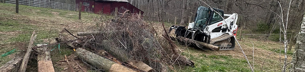 Fence Tear Down