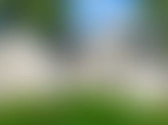 Legal Tenant Handling, Boosting Income, Rental Types and Inspections