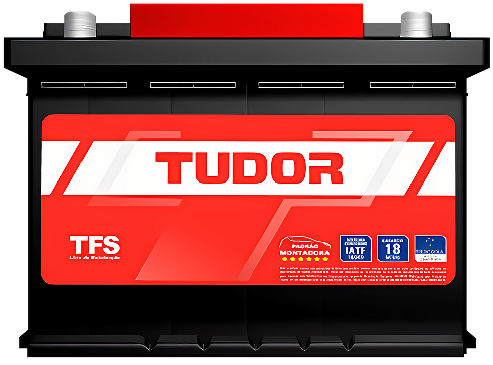 Bateria Tudor