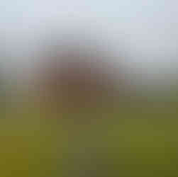 Kitts cottage on wasing park estate, showcasing the exterior of the buidling