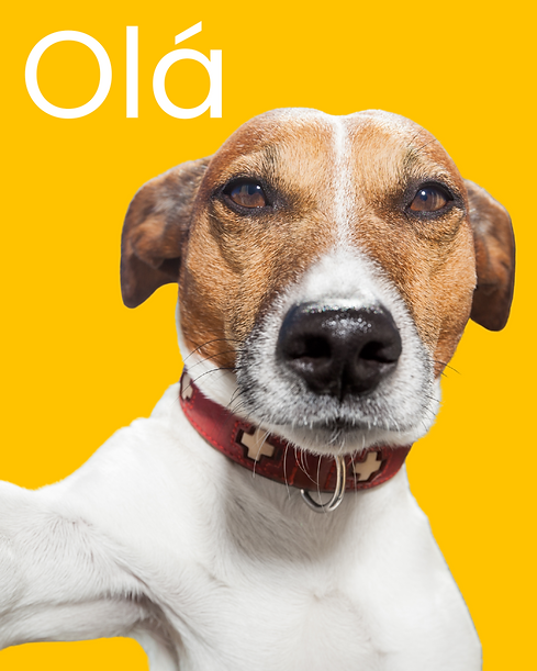 Post para Instagram Arquitetura .png