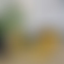 Rotina Anti-Estresse Natural com Chás para Noite