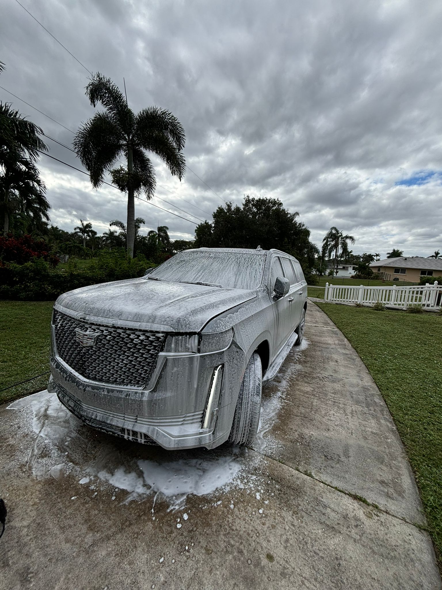premium detailing.jpg