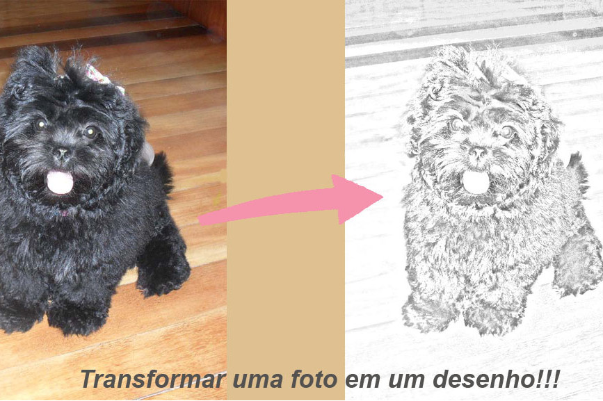 foto em desenho.jpg