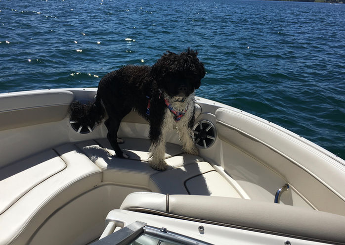 Hello - Is It Me Your Looking For?