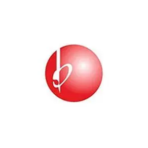 bayburtlu-insaat logo