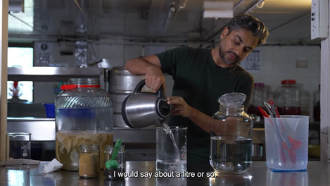 Brew of Bombay_ Kombucha - Documentary 2-56 screenshot