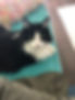 C1EBA9B1-7254-4C70-8EE8-09ACA0485279.jpeg