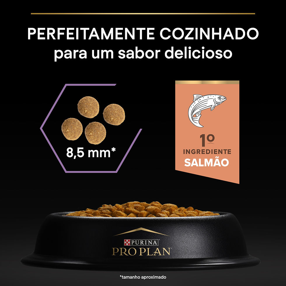 Miniatura: Pro Plan Healthy Start Sterilised Kitten Salmão
