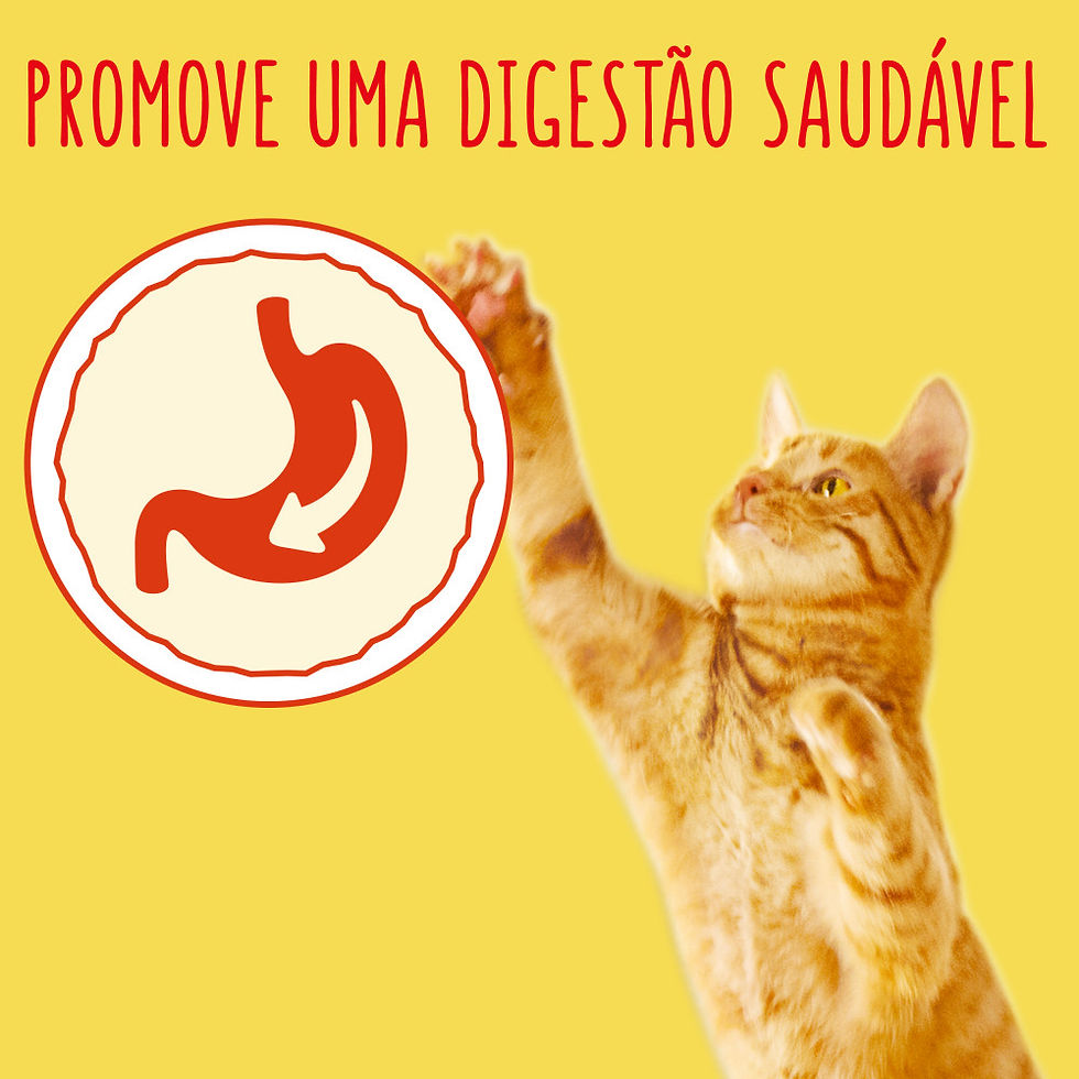 Miniatura: Friskies Gato Adulto Atum e Legumes