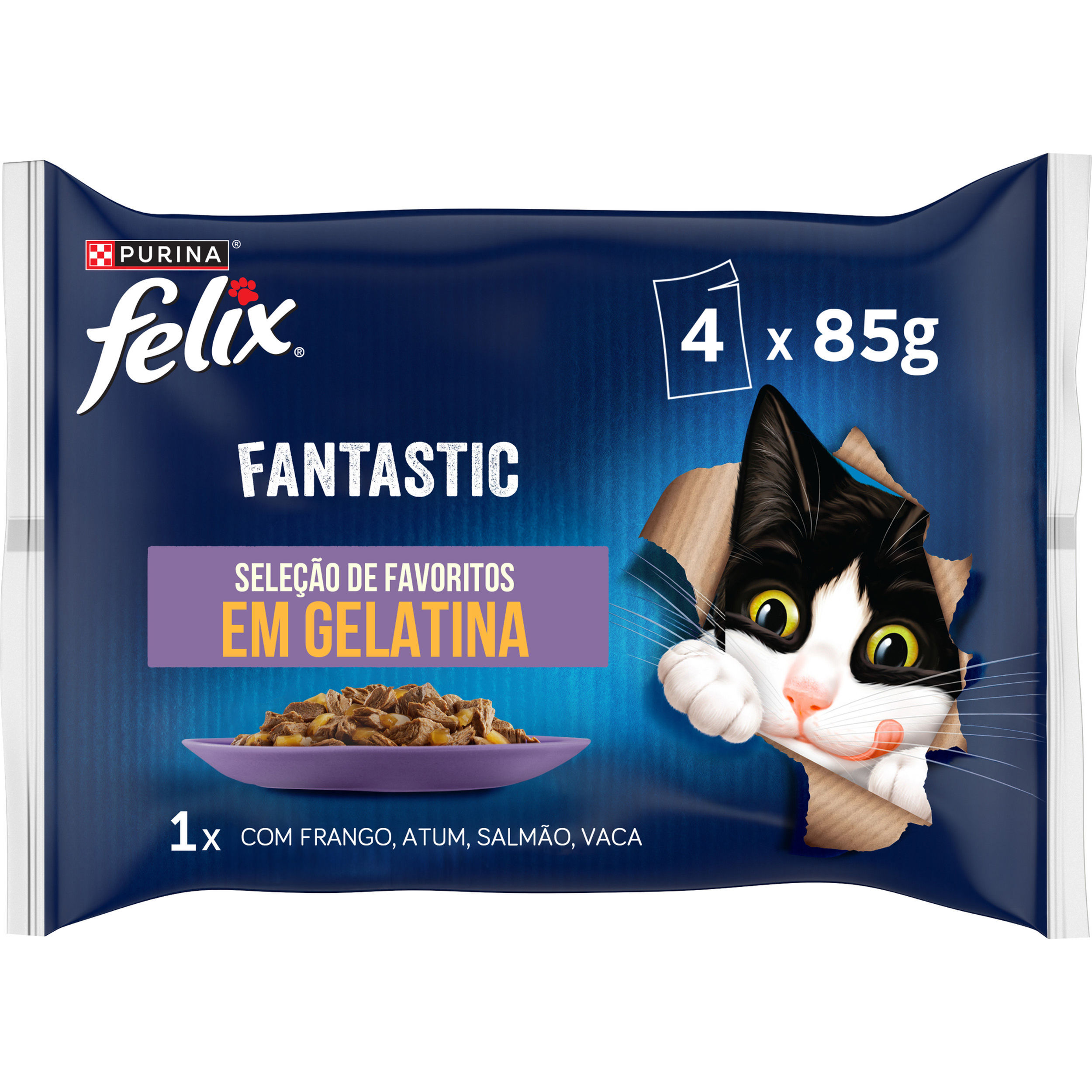 Felix Fantastic Seleção de Favoritos