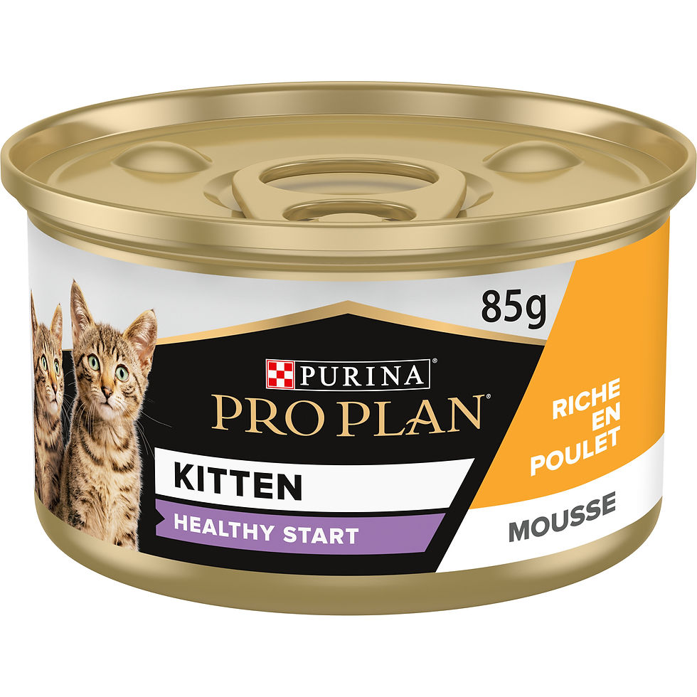 Pro Plan Healthy Start Kitten Frango