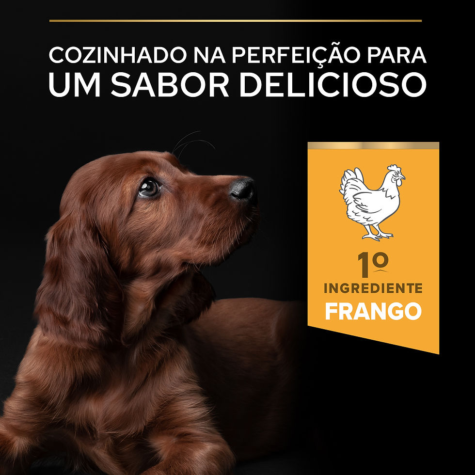 Miniatura: Pro Plan Healthy Start Large Athletic Puppy Frango