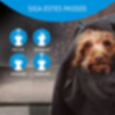 Miniatura: Artero Champô Baby