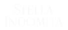 Logo 2 SI_edited.png