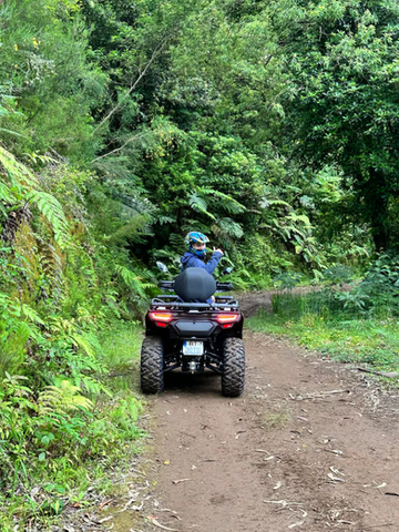 Quad Bike rental