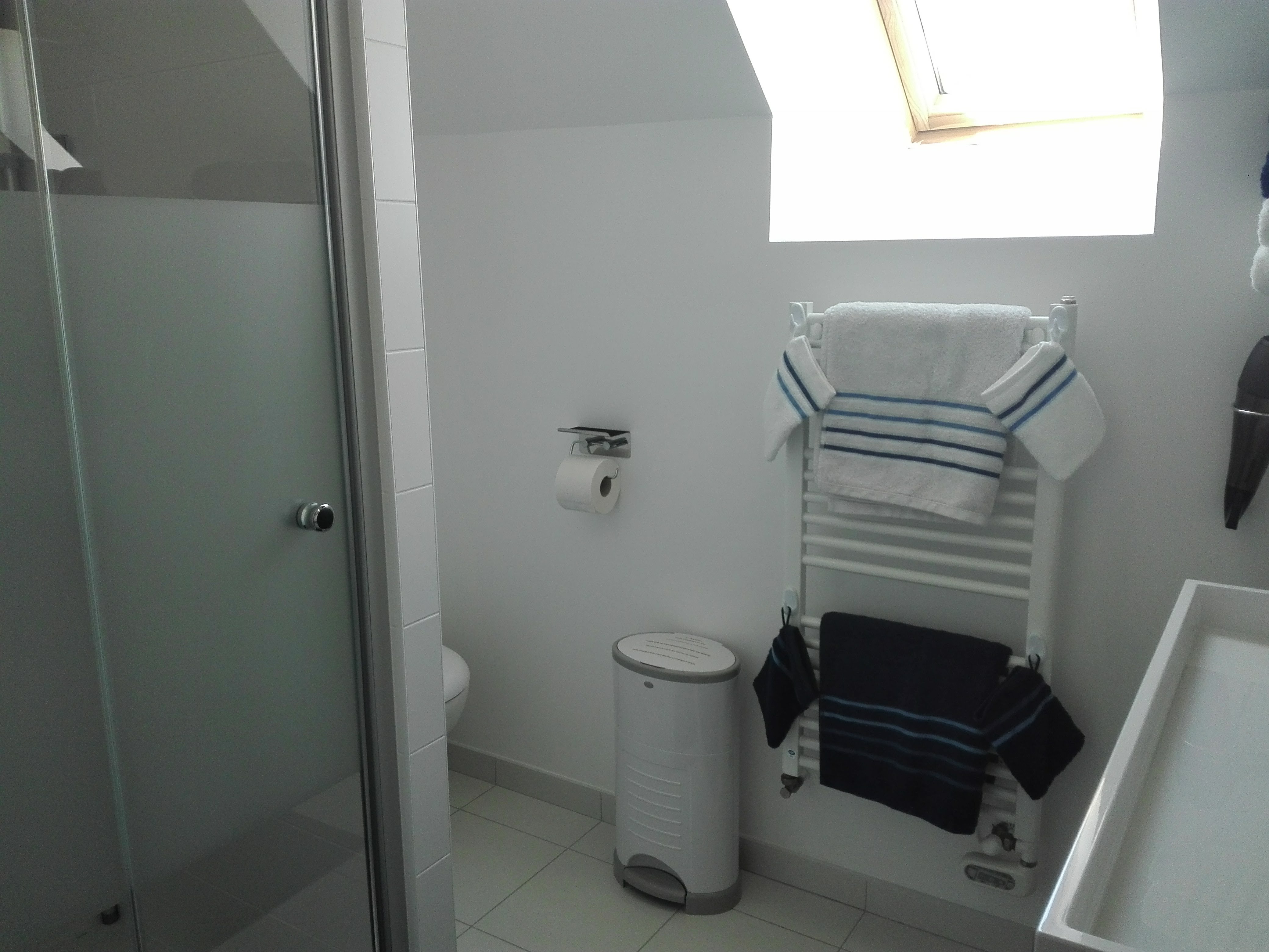 Salle de douche avec toilette