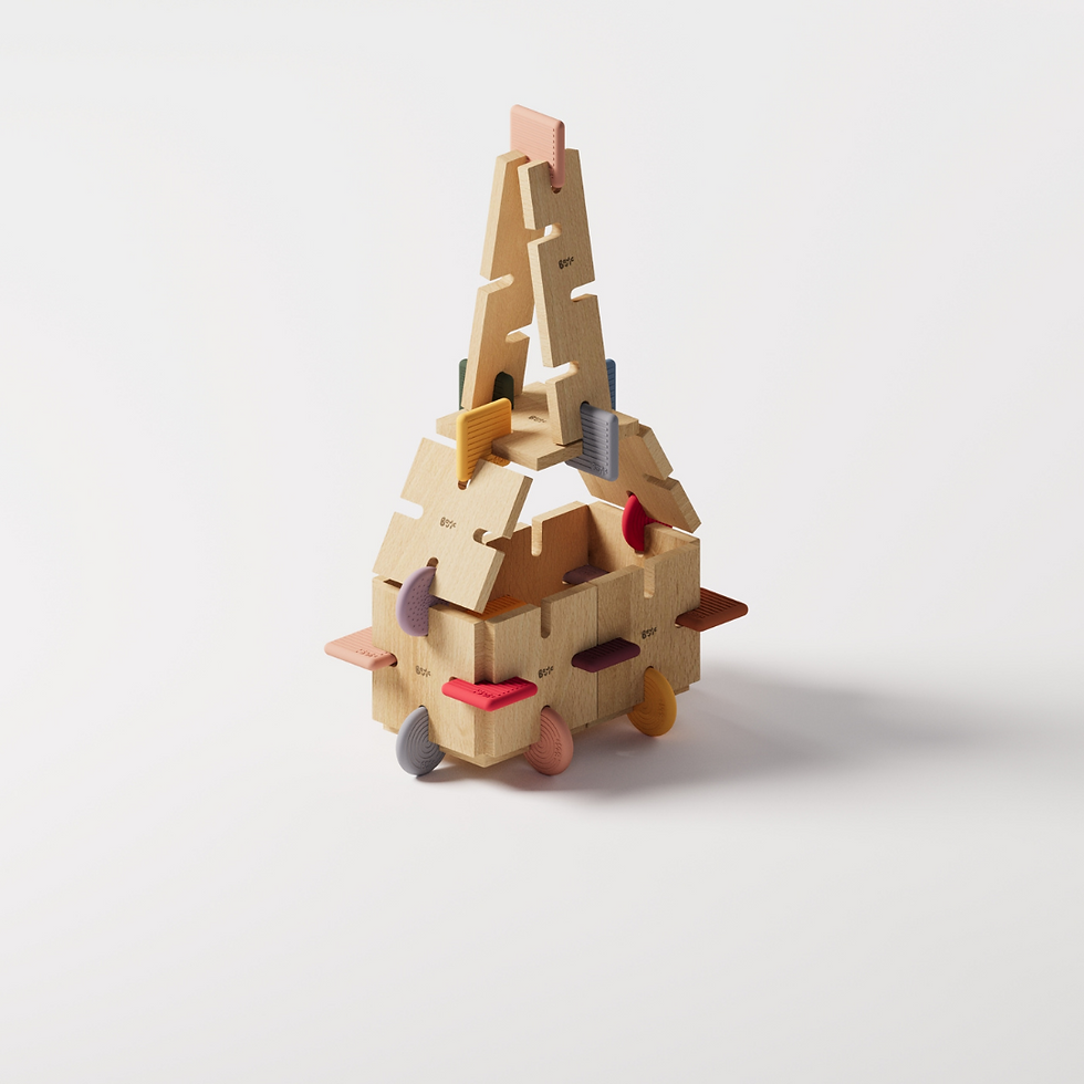 BAVVIC FAMILY SET - Wooden Contruction Toy