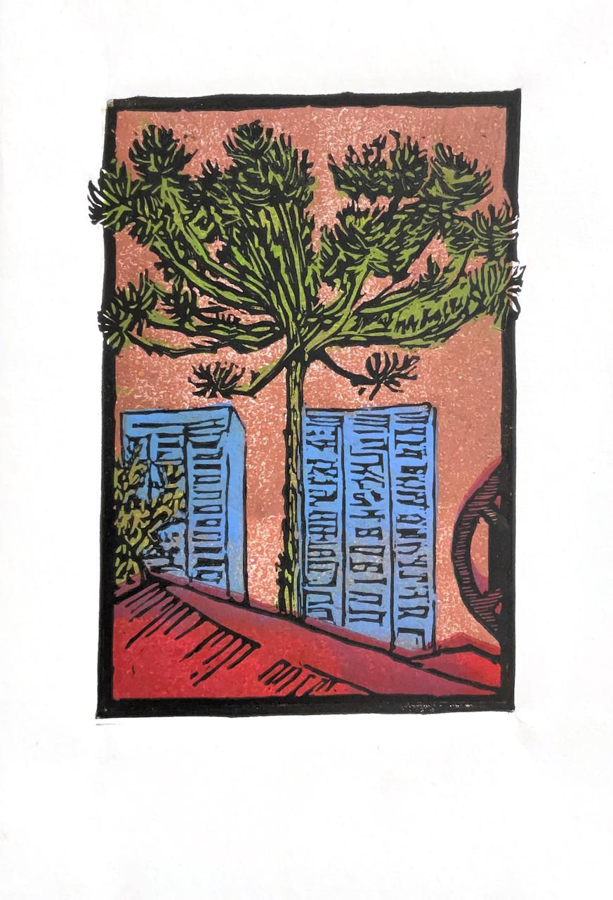 Miniatura: Araucária Urbana 3 - cor