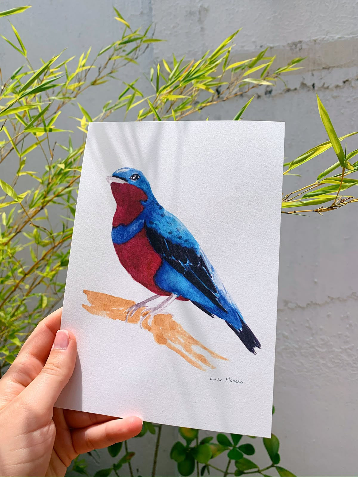 Crejoá (print)