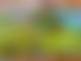 Fakta Menarik tentang Game Online di Dunia Nyata