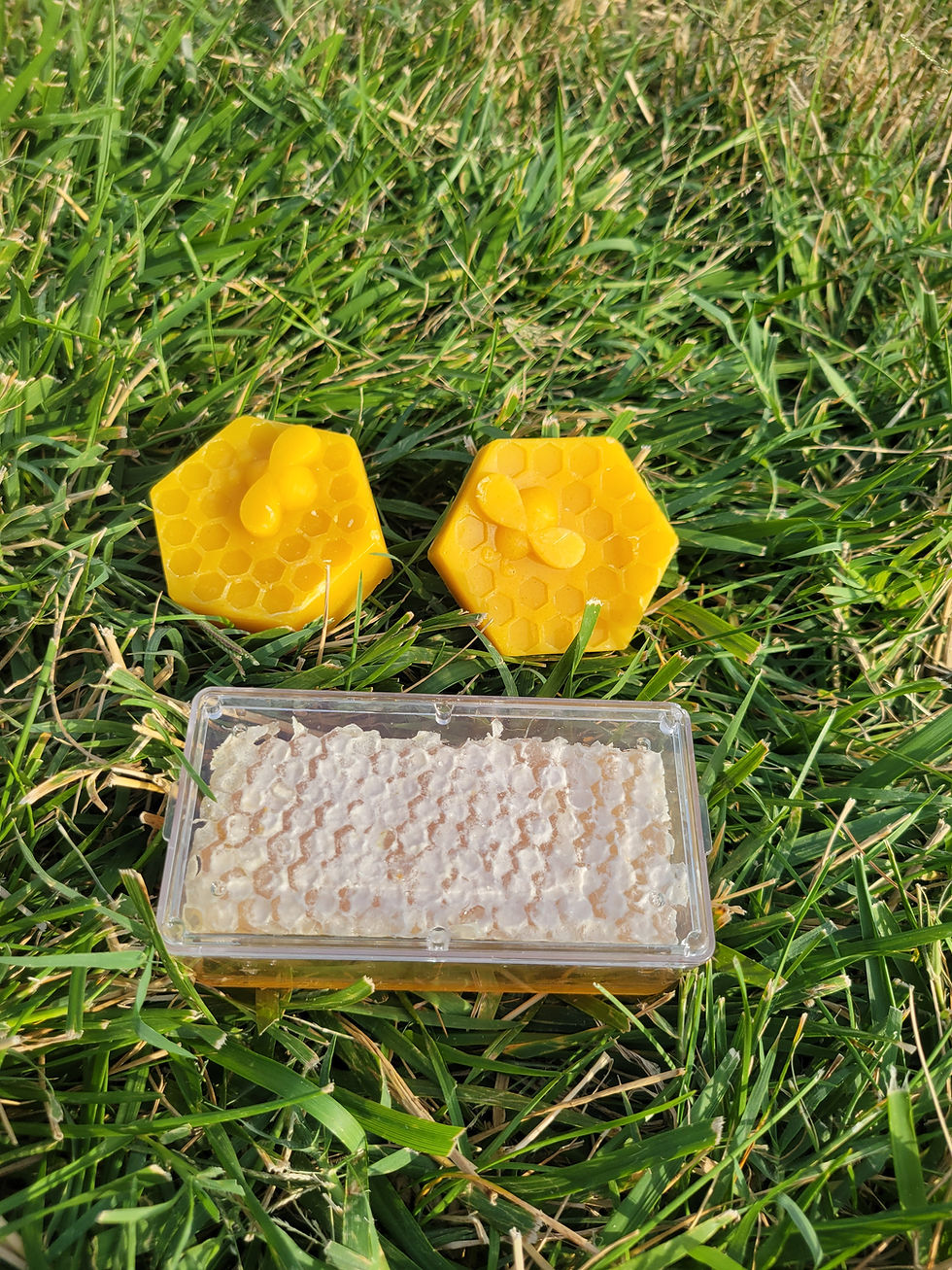 Thumbnail: Beeswax Blocks Heart and Flower Shape