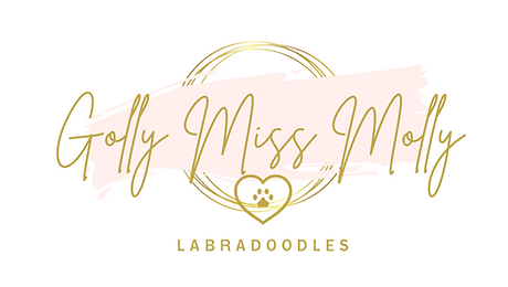 Gold and Blush Brushstroke Logo (1).png