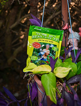 100 גרם רקע.jpg