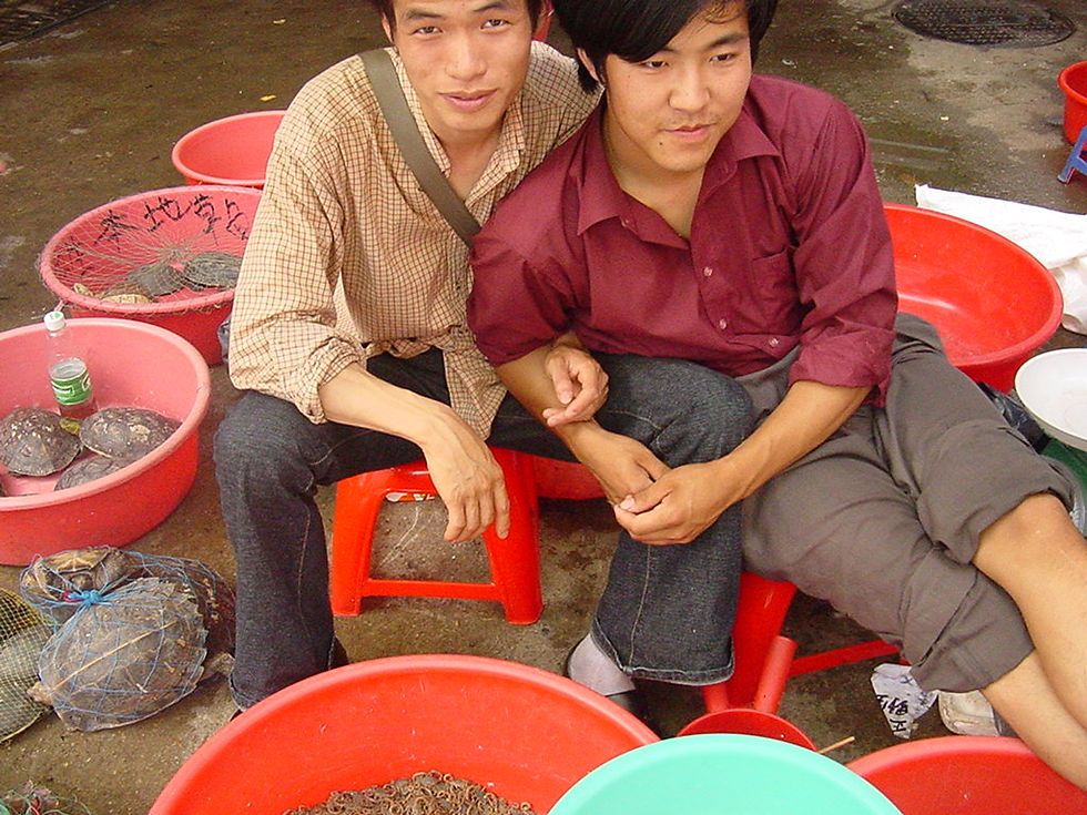 DSC08987