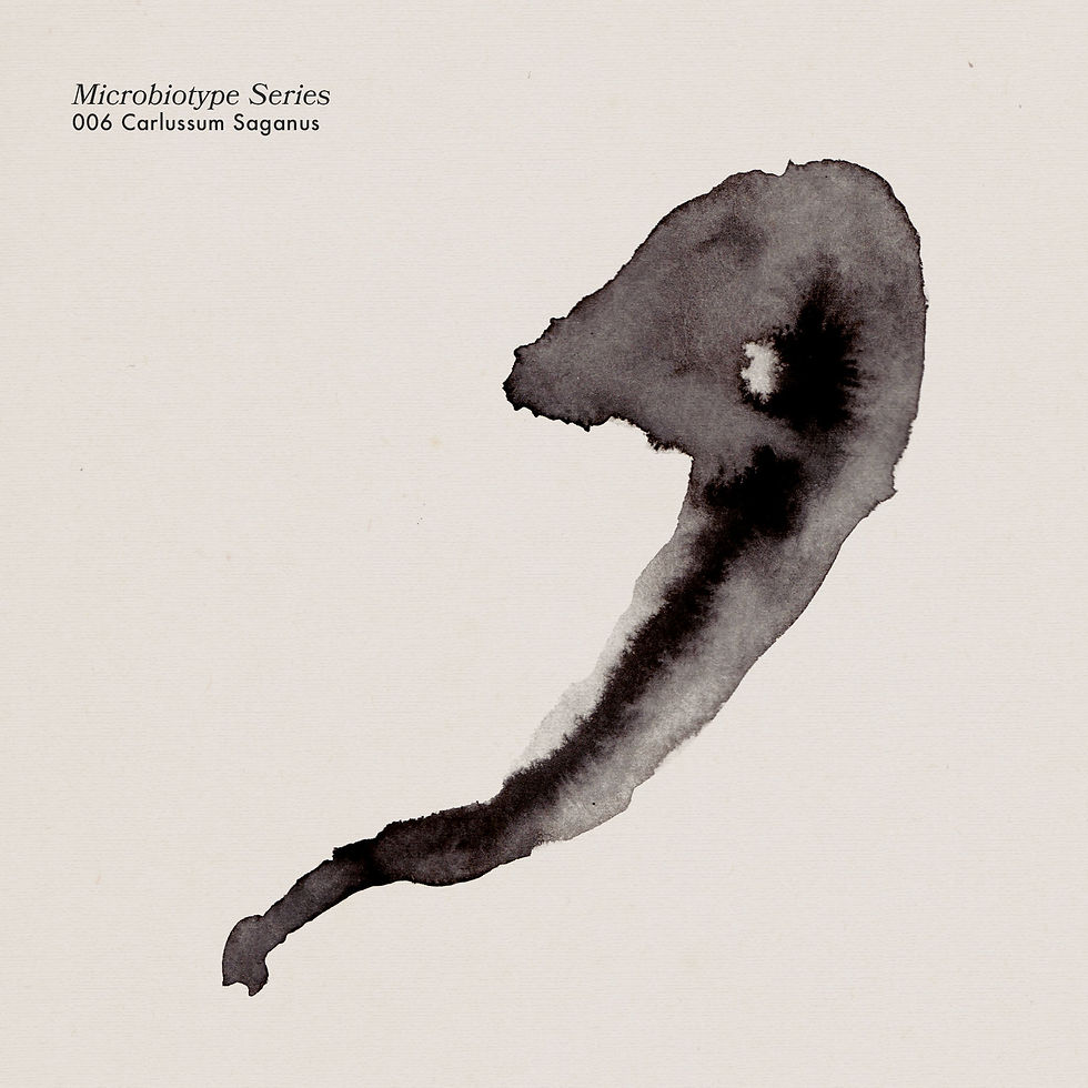 siamesesix_microbiotypes_4