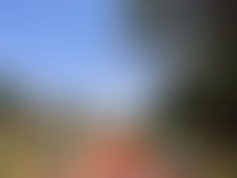 K.O.F.M. zendt zijn zonen uit