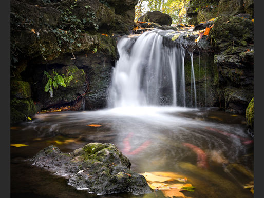 HIGHLY COMMENDED! Cobalt Capture a Moment Photography awards.