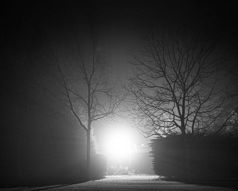 Silhouette tree photography.
Alexander Eveleigh Cheltenham/ Cotswolds photographer.