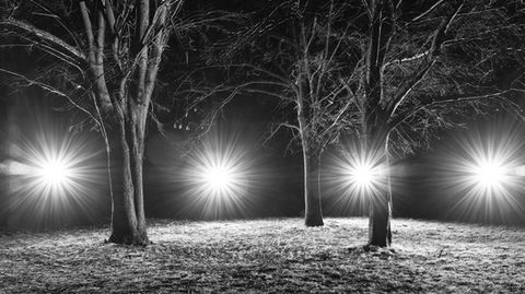 Cheltenham Winston Churchill memorial gardens trees at night.
Alexander Eveleigh Cheltenham/ Cotswolds photographer.